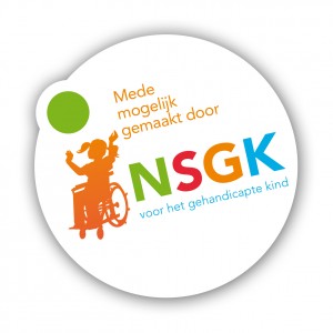 Logo nsgk voor web